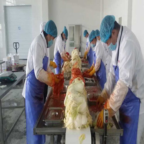 性價比之選 高效玉米食品加工機械設(shè)備在糧食加工領(lǐng)域的應(yīng)用